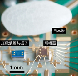 図1●圧電薄膜共振子を用いた発振器（出所：情報通信研究機構、東北大学、東京工業大学）