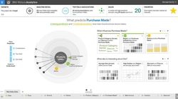 図2:Watson Analyticsの画面例。画面は購買理由の分析ケース