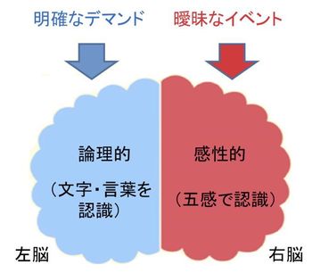 図１：左脳と右脳の役割