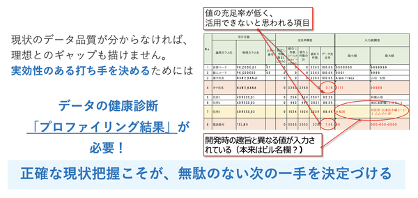 図5：プロファイリングでデータ品質を把握する