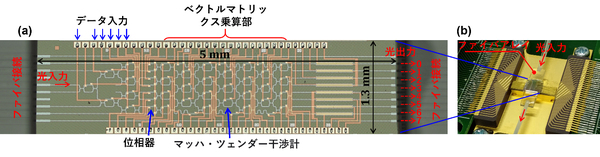 図1：製作した回路チップの外観（写真左）と、演算機能評価用に光ファイバと電気配線を実装したモジュールの外観（写真右）