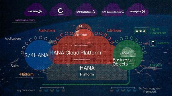 図1：SAP HANA Cloud Platform Archtecture