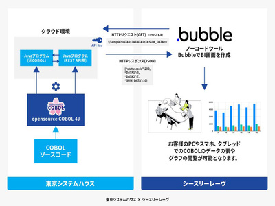 COBOLアプリケーションのデータを対象にした分析システムのSI─東京
