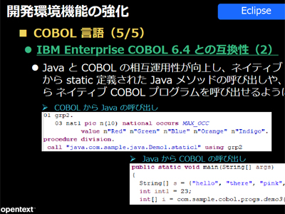 スーパーセール 50％（福袋 COBOL開発環境「Micro Focus Visual COBOL 9.0J」、JavaとCOBOL プログラミングツール