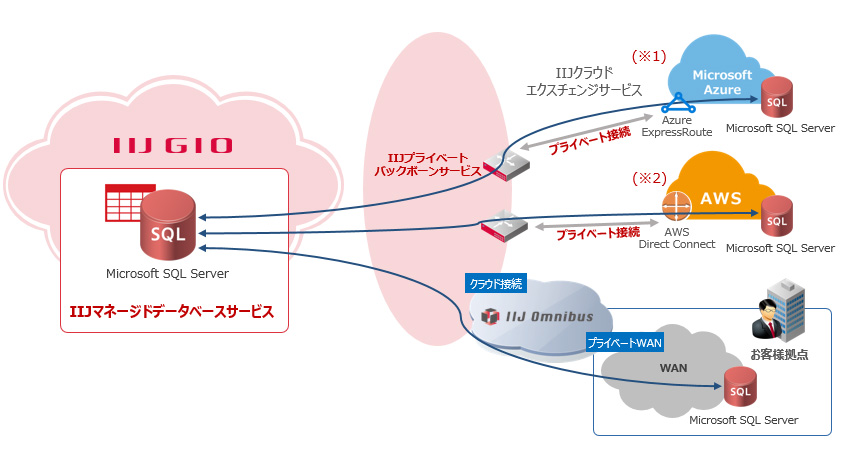 Iijマネージドデータベースサービスでsql Server 2017のクラウド提供を開始 It Leaders