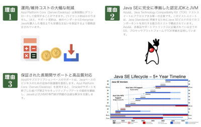 exp_2010様 リクエスト 3点 まとめ商品 Java開発キットの有料サポートを低価格で、丸紅情報システムズが