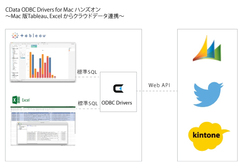 図1●CData ODBC Driverの概要（出所：CData Software Japan）