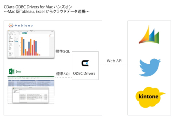 図1：CData ODBC Driverの概要（出典：CData Software Japan）
